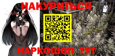 2c-b Кингисепп