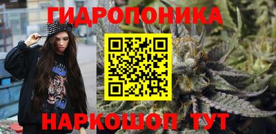 ПСИЛОЦИБИНОВЫЕ ГРИБЫ Канаш