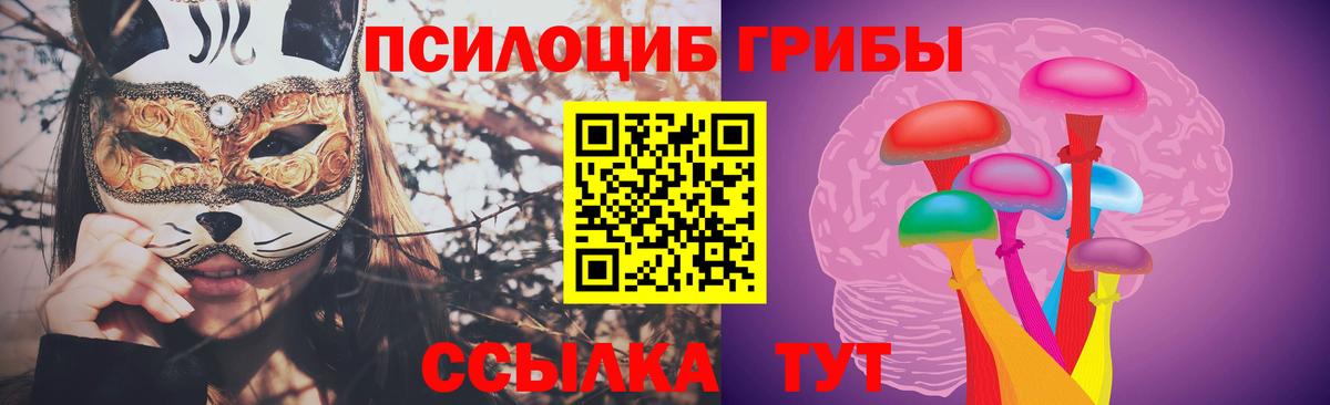 Галлюциногенные грибы MAGIC MUSHROOMS  Вход с VPN  Красноярск 